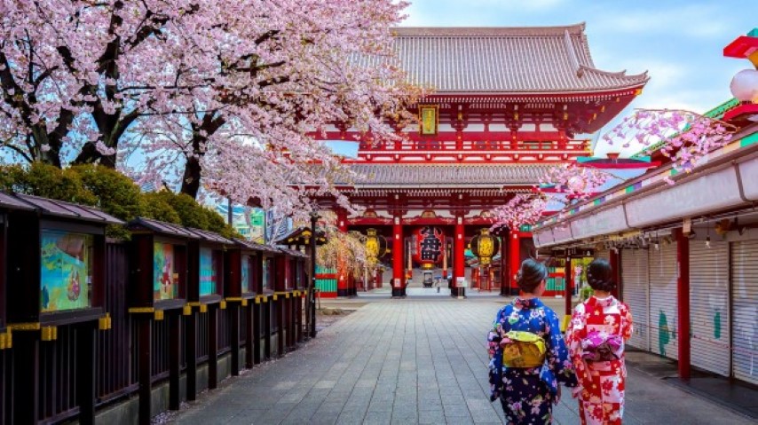 Japan Tour and Travels, Japan tourism